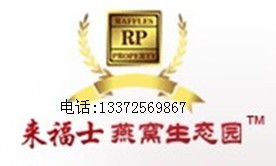 哪里能買到進口優質燕窩 | 燕窩資產的精致管理與采購指南